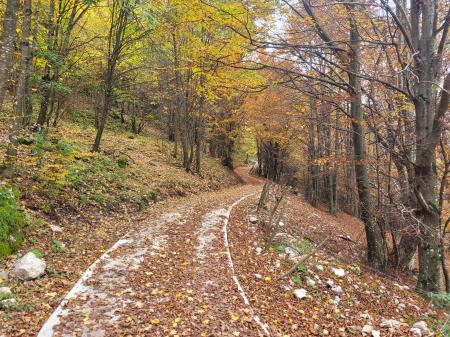 5. Dostopna pot do planin